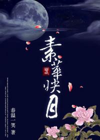 素华映月春温一笑txt
