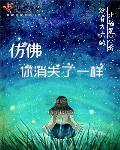 仿佛你消失了一样英语