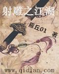 射雕之江湖 雁丘01