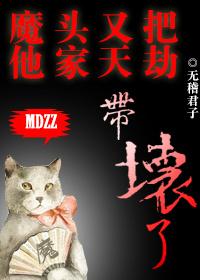 魔头又把他家天劫带坏了txt
