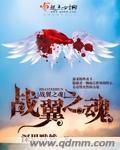 战翼公司