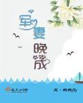 军妻听