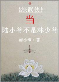 综武侠陆少爷不是林少爷