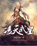 凌天武皇 喜乐不语