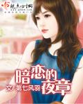 暗夜的作品集