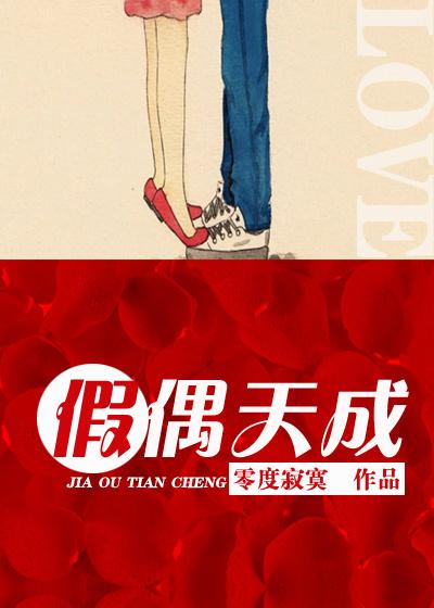 假偶天成在线观看全集