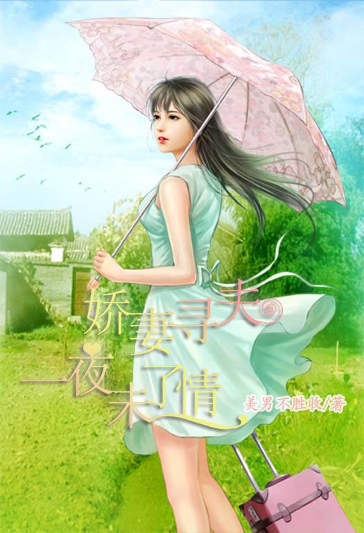 娇妻寻夫:一夜未了情
